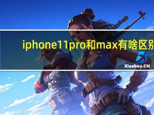 iphone 11 pro和max有啥区别（iphone 11 pro）