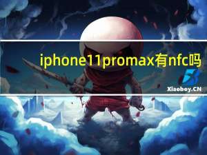 iphone11pro max有nfc吗（iphone11pro max和pro区别）