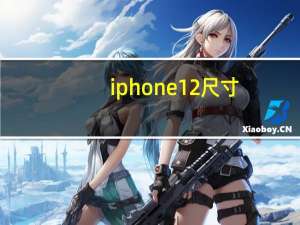 iphone12尺寸（iphone13pro尺寸）