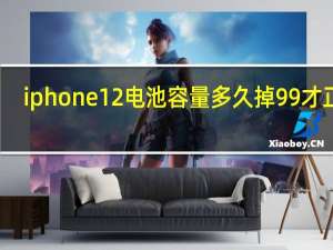 iphone12电池容量多久掉99才正常（iphone12电池容量）
