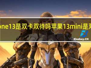 iphone 13是双卡双待吗 苹果13mini是双卡双待吗