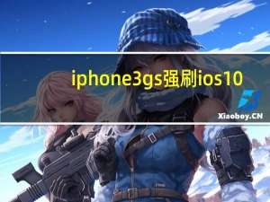 iphone3gs强刷ios10（iphone3gs8g）