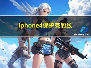 iphone4 保护壳豹纹（iphone4 8g）