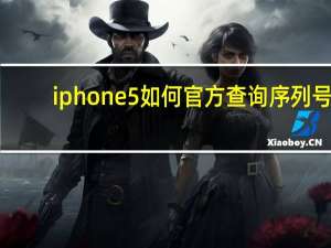 iphone5如何官方查询序列号（iphone5序列号查询）