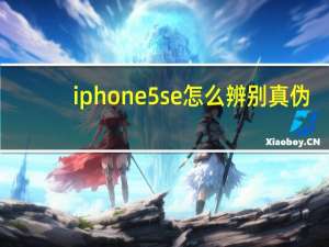 iphone5se怎么辨别真伪（iphone5se价格）