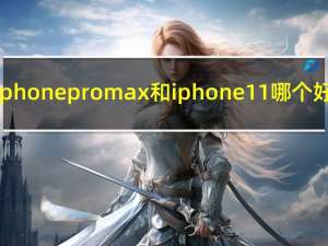 iphonepromax和iphone11哪个好（iphone pro和max区别）