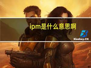 ipm是什么意思啊（ipm是什么意思）