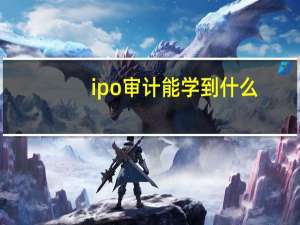 ipo审计能学到什么