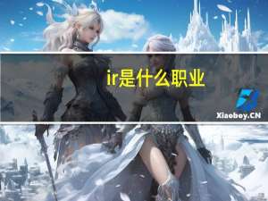 ir是什么职业