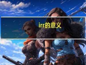 irr的意义