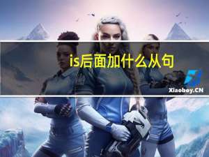 is后面加什么从句