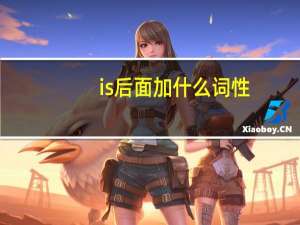 is后面加什么词性