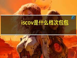 iscov是什么档次包包