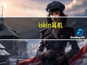 iskin耳机（iskin）