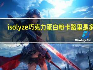 isolyze 巧克力蛋白粉卡路里是多少