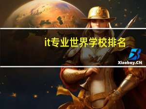 it专业世界学校排名