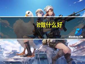it做什么好