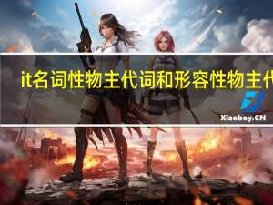 it名词性物主代词和形容性物主代词（it名词性物主代词）
