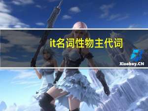 it名词性物主代词