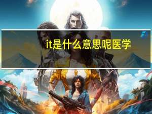 it是什么意思呢医学