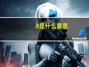 it是什么意思（it是什么）