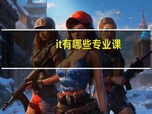 it有哪些专业课