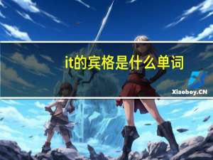 it的宾格是什么单词