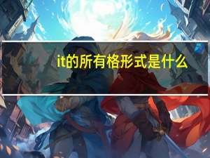 it的所有格形式是什么