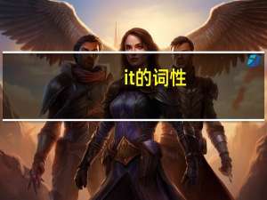 it的词性