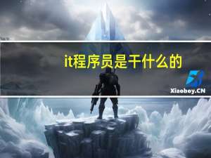 it程序员是干什么的