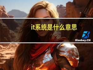 it系统是什么意思（IT系统是什么）