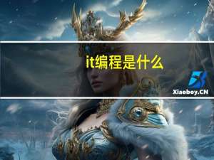 it编程是什么