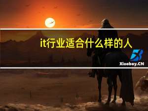 it行业适合什么样的人