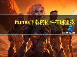 itunes下载的固件在哪里找（itunes下载的固件在哪里）