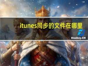 itunes同步的文件在哪里（itunes同步在哪里）
