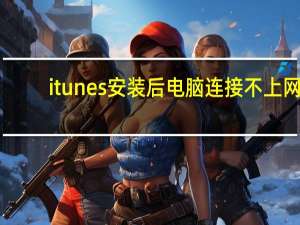 itunes安装后电脑连接不上网（itunes安装后打不开）