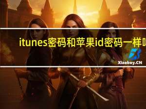 itunes密码和苹果id密码一样吗（itunes密码要求是什么）