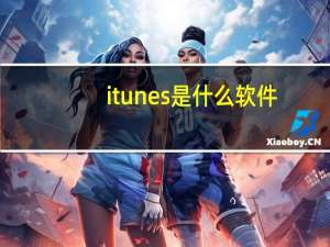 itunes是什么软件（itunes是什么）