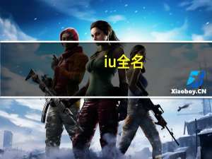 iu全名