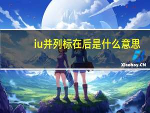 iu并列标在后是什么意思