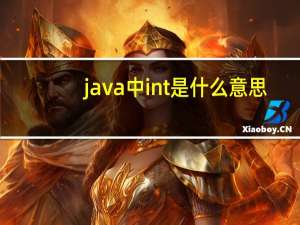 java中int是什么意思