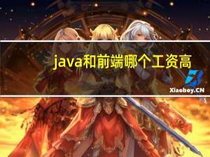 java和前端哪个工资高