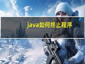 java如何终止程序