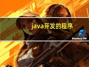 java开发的程序