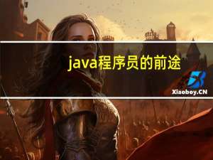 java程序员的前途