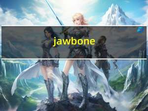 jawbone（up 2）