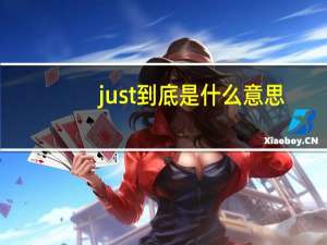 just到底是什么意思