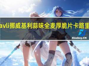 kavli 挪威基利 蒜味全麦厚脆片卡路里是多少