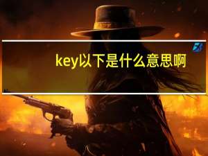 key以下是什么意思啊