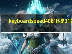 keyboardspeed48好还是31好